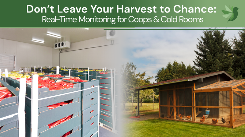 Don’t Leave Your Harvest to Chance: Real-Time Monitoring for Coops & Cold Rooms